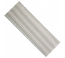 PSR1636-25