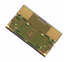 MASW-010647-13950G