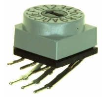 PT65106L254
