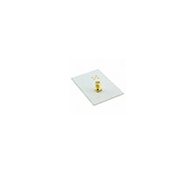 SRCW004-EVB-1