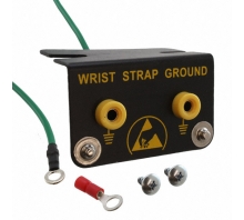 WSGR2