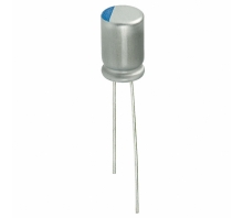 APSA6R3ETD221MFA5S