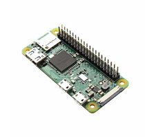 RPI-029