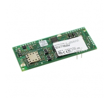 MT810SWM-IP