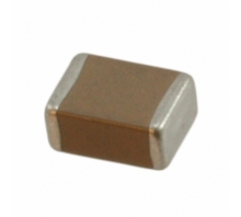100S43X476MV4E